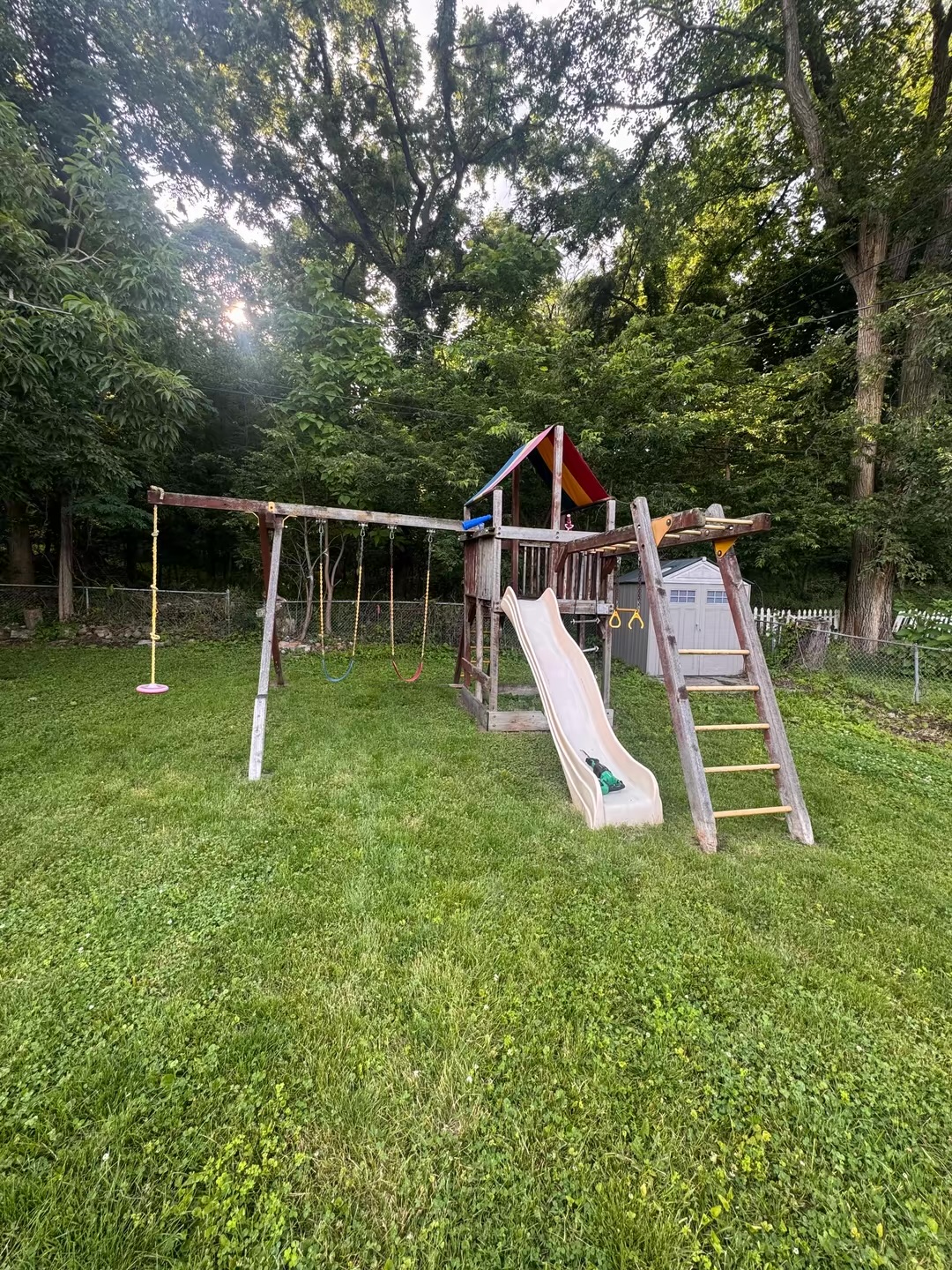 Backyard playset removal — before
