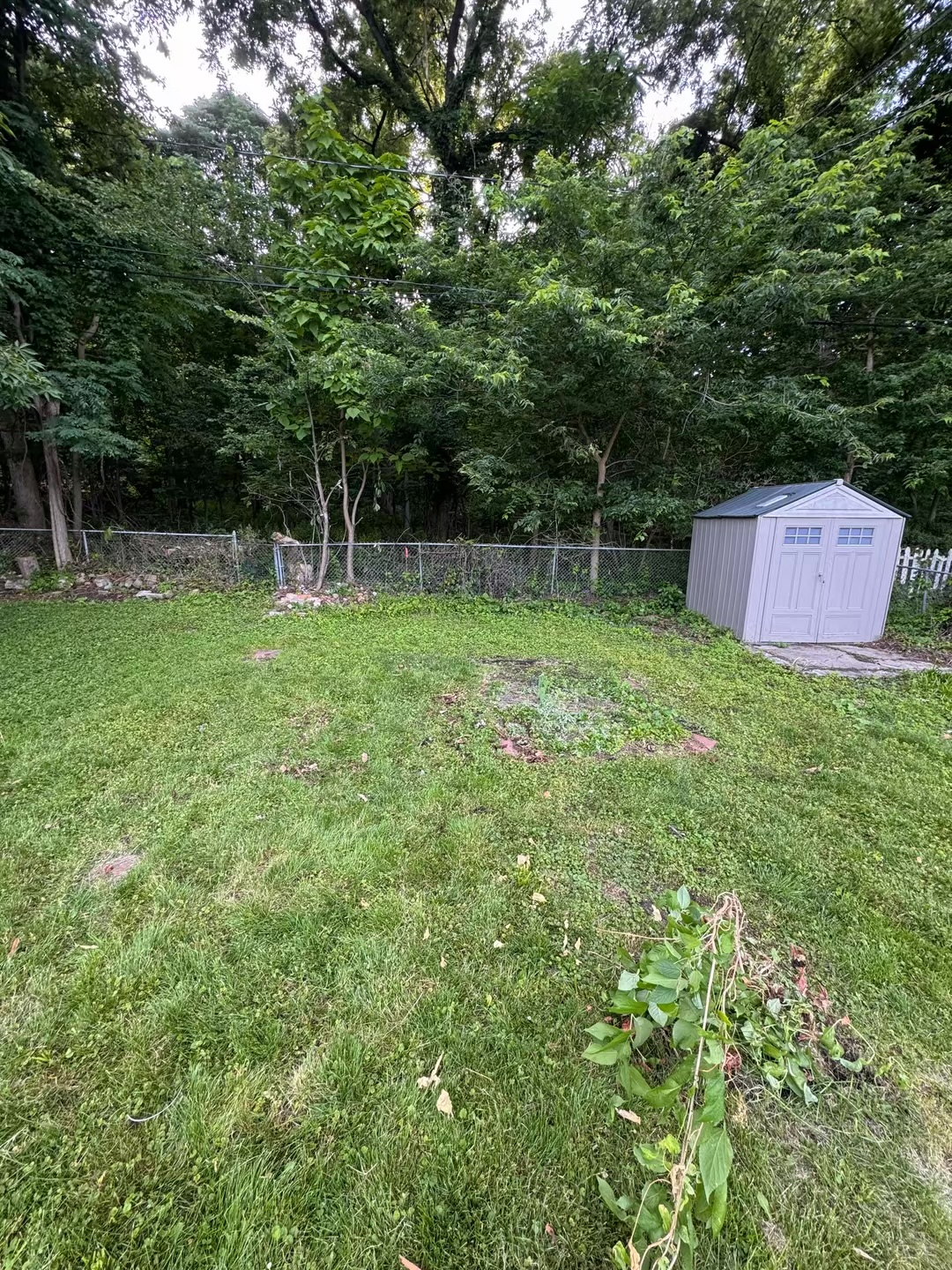Backyard playset removal — after